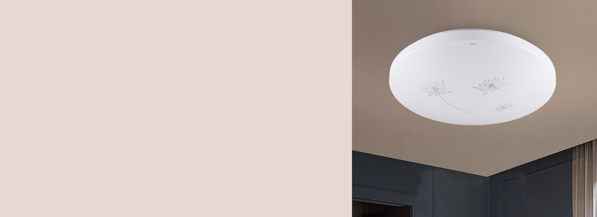 蒲公英款 爛漫風光，沉醉在飄飛的思緒中...