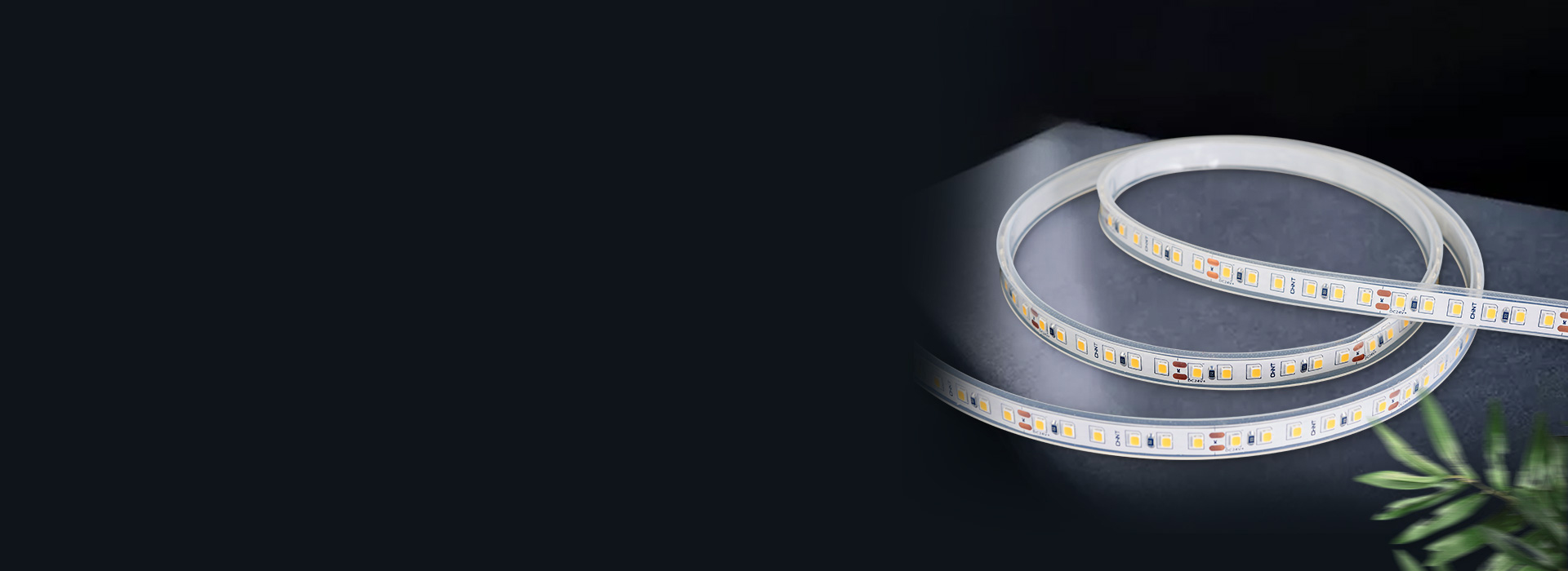 DD32/33系列低壓燈帶 安全低壓，...