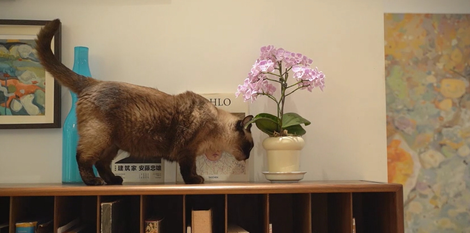 正泰T7開(kāi)關(guān)業(yè)主探訪錄（2）